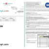 editable template, USA BMO Harris bank statement Word and PDF template, 3 pages