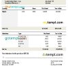 editable template, USA California earnings statement Word and PDF template