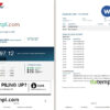 editable template, USA Capital One bank statement Word and PDF template, 4 pages