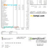 editable template, USA Maryland University of Maryland Medical Center pay stub Word and PDF template