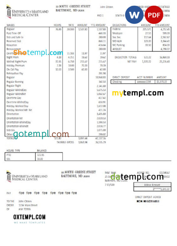 editable template, USA Maryland University of Maryland Medical Center pay stub Word and PDF template