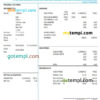 editable template, USA New York Abstract United pay stub Word and PDF template