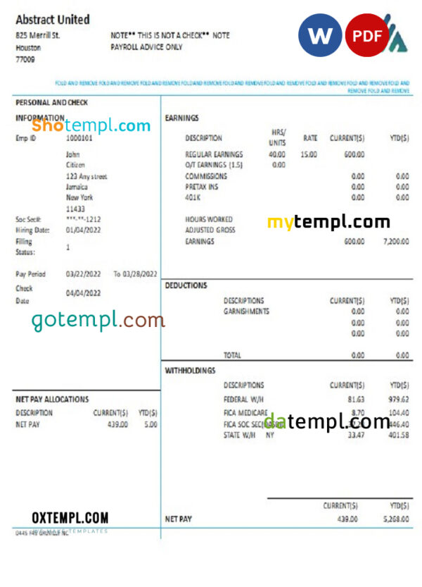 editable template, USA New York Abstract United pay stub Word and PDF template