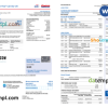 editable template, USA Costco Anywhere Visa Card by Citi bank statement, Word and PDF template, 4 pages