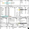 editable template, USA New Jersey Hackensack Meridian Health earnings statement Word and PDF template