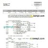 editable template, USA USAA bank statement Word and PDF template, 5 pages
