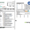 editable template, Australia Woodforest National bank statement Word and PDF template, 3 pages