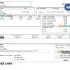 editable template, USA New York earnings statement Word and PDF template