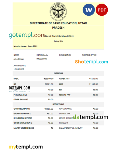 editable template, India Directorate of Basic Education Uttar Pradesh educational company pay stub Word and PDF template