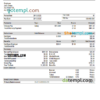 editable template, USA American Axle manufacturing company pay stub Word and PDF template
