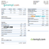editable template, USA Aurora Specialty Textiles Group textile company pay stub Word and PDF template