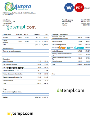 editable template, USA Aurora Specialty Textiles Group textile company pay stub Word and PDF template