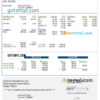 editable template, USA Denbury Resources Inc. oil & gas company pay stub Word and PDF template
