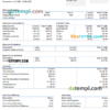 editable template, USA Discovery Inc. entertainment company pay stub Word and PDF template