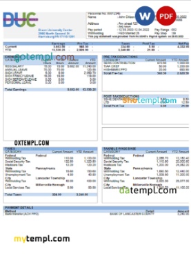 editable template, USA Dixon University Center educational company pay stub Word and PDF template