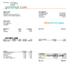 editable template, USA Auto Zone auto retailer company pay stub Word and PDF template