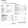editable template, USA Brain Technology technology company pay stub Word and PDF template