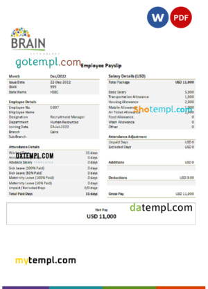 USA Brain Technology technology company pay stub Word and PDF template