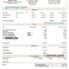 editable template, USA Brown Forman alcoholic  beverages company pay stub Word and PDF template