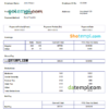 editable template, USA Capital Economics economic company pay stub Word and PDF template