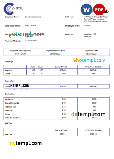 editable template, USA Capital Economics economic company pay stub Word and PDF template