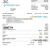 editable template, USA Channel News Team 4 media company pay stub Word and PDF template