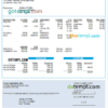 editable template, USA Cisco Systems, Inc. hardware company pay stub Word and PDF template