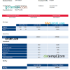 editable template, USA Delta Air Lines airlines company pay stub Word and PDF template