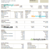 editable template, USA Kering luxury goods company pay stub Word and PDF template