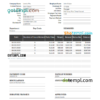 editable template, USA Lowe's Pro Supply wholesale company pay stub Word and PDF template
