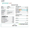 editable template, USA Merck & Co. pharmaceutical company pay stub Word and PDF template