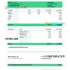 editable template, USA MicroVision informational company pay stub Word and PDF template