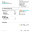 editable template, USA Wells Fargo bank statement Word and PDF template, version 2