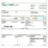 editable template, USA NextEra Energy electric company pay stub Word and PDF template
