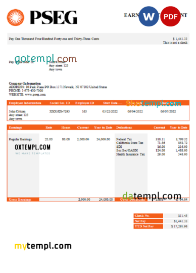 editable template, USA PSEG utilities company pay stub Word and PDF template