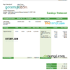 editable template, USA Publix Super Markets Inc. supermarket company pay stub Word and PDF template