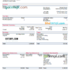 editable template, USA Republic Services waste management company pay stub Word and PDF template