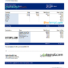 editable template, USA UnitedHealthCare managed care company pay stub Word and PDF template