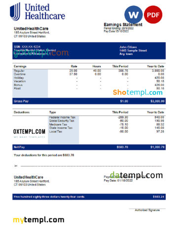 editable template, USA UnitedHealthCare managed care company pay stub Word and PDF template