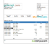 editable template, USA Texas BNI bank account statement Word and PDF template