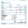 editable template, USA Maesk shipping company pay stub Word and PDF template