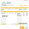 editable template, USA Michael Courtney Design graphic company pay stub Word and PDF template