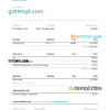 editable template, USA PayHero financial company pay stub Word and PDF template