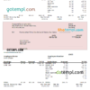 editable template, USA Honeywell conglomerate company pay stub Word and PDF template