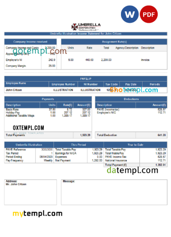 editable template, USA Umbrella pharmaceutical company pay stub Word and PDF template