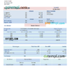 editable template, # origin check universal multipurpose utility bill, Word and PDF template