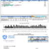 editable template, # picnic iconic universal multipurpose utility bill, Word and PDF template