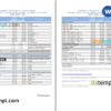 editable template, USA JP Morgan bank statement Word and PDF template, 2 pages, version 2