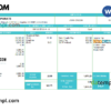 editable template, USA AECOM construction company pay stub Word and PDF template