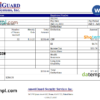 editable template, USA AmeriGuard Security Services Inc security company pay stub Word and PDF template